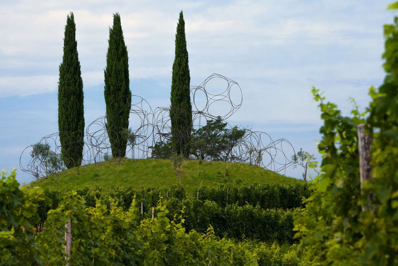 Livio Felluga / Vigne Museum