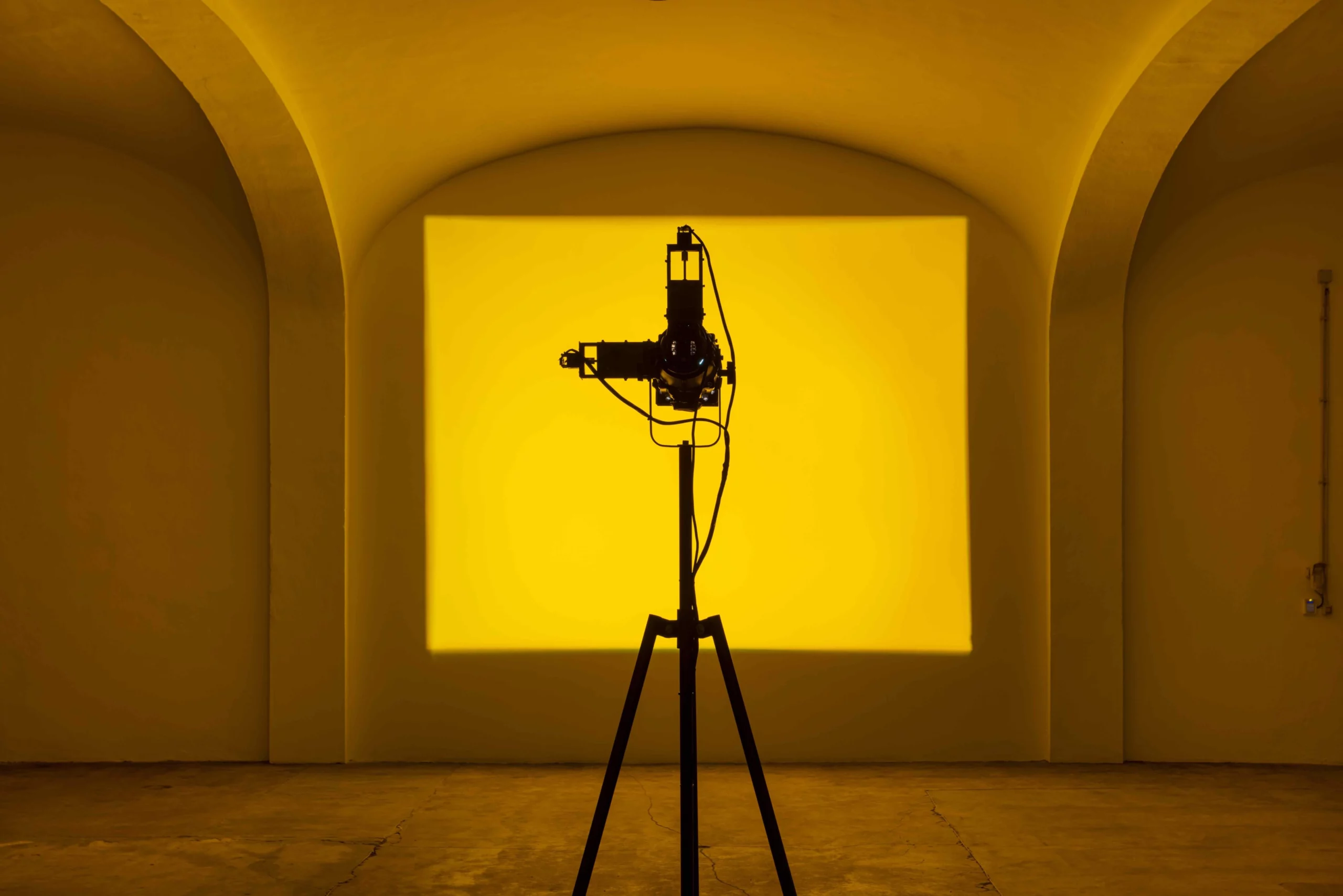 PALAZZOIRREALE (BOSCA)