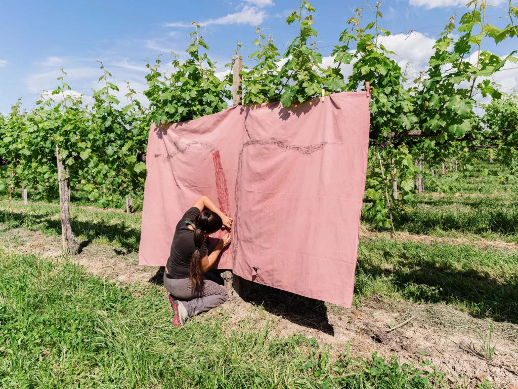 Bonotto Delle Tezze – Officina Malanotte