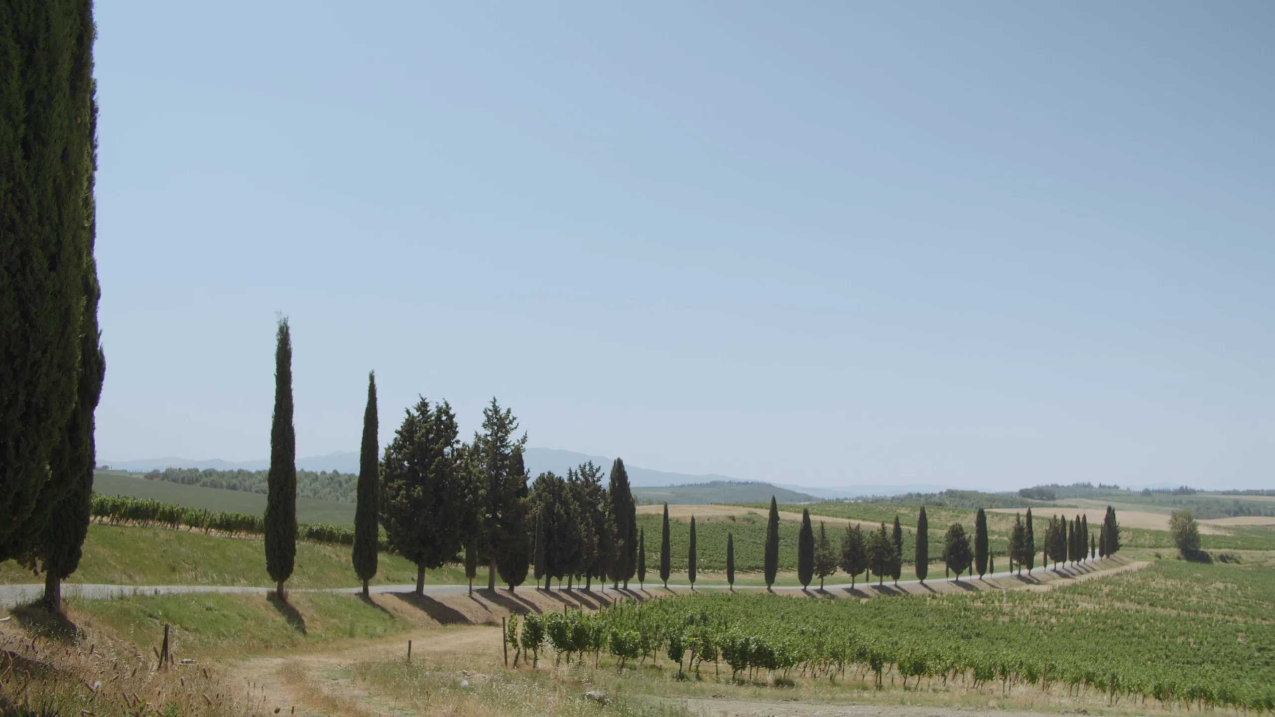 Artisti per Frescobaldi – Frescobaldi