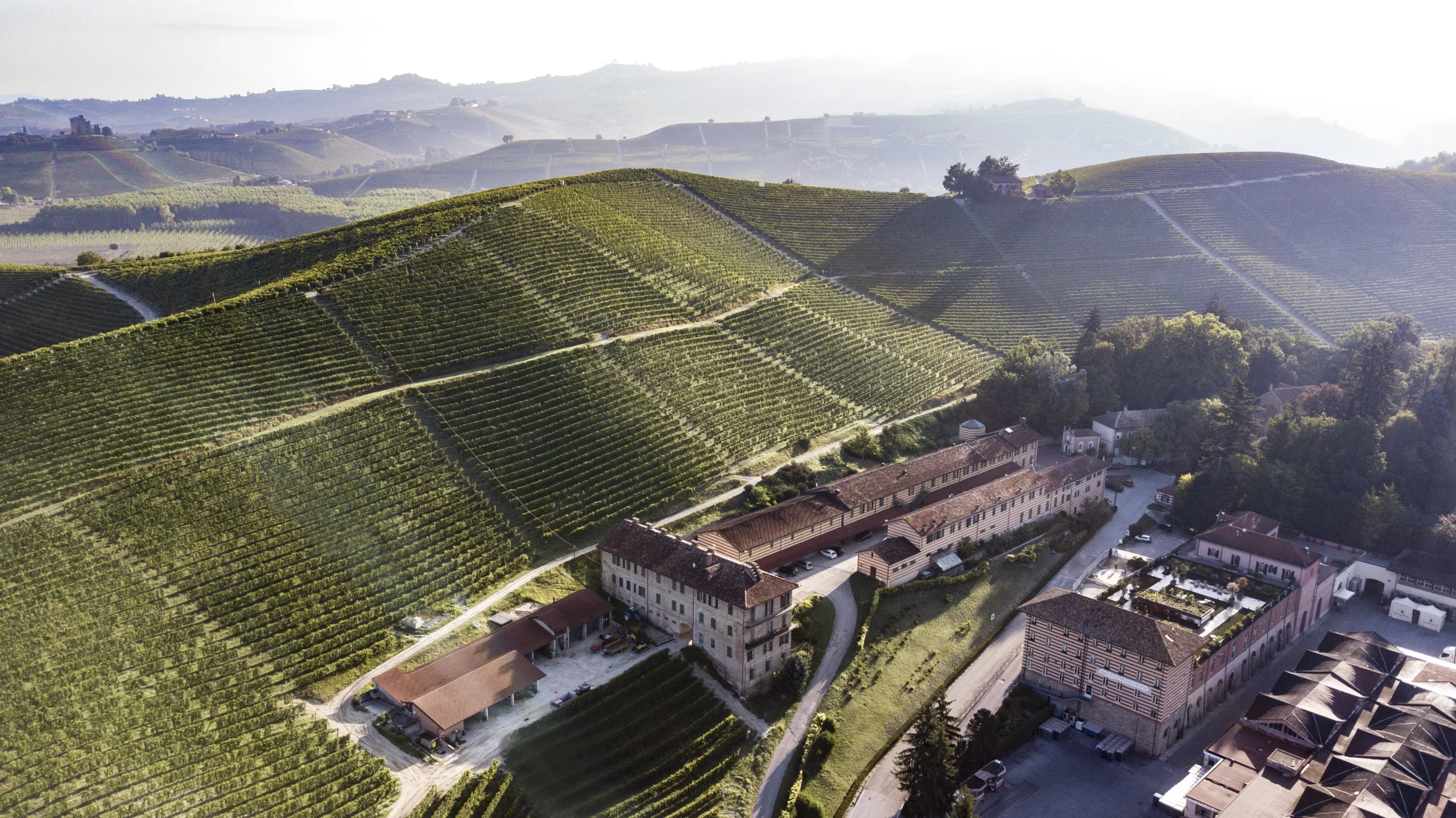 Fontanafredda e Fondazione Mirafiore