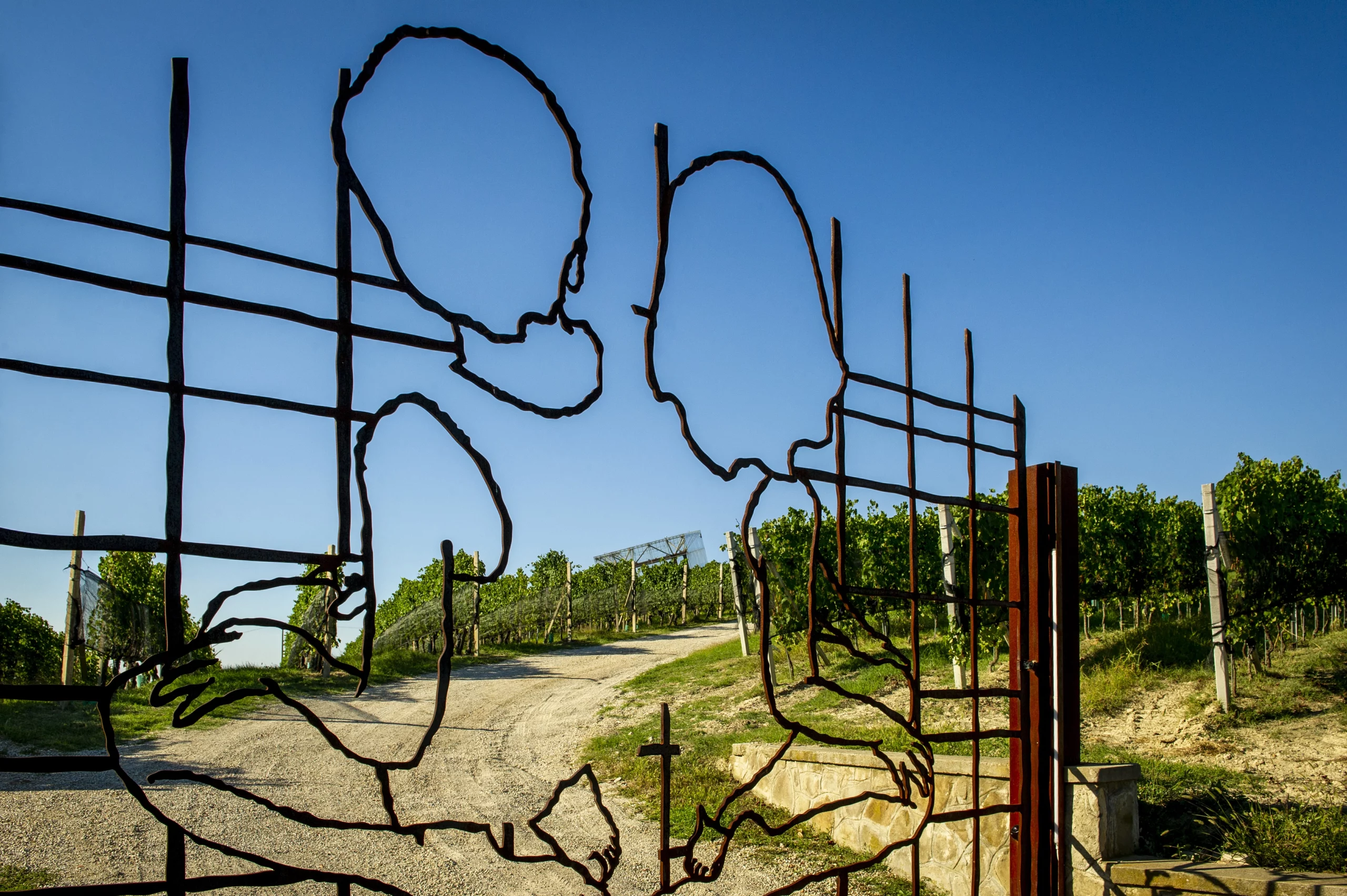 Ceretto Aziende Vitivinicole