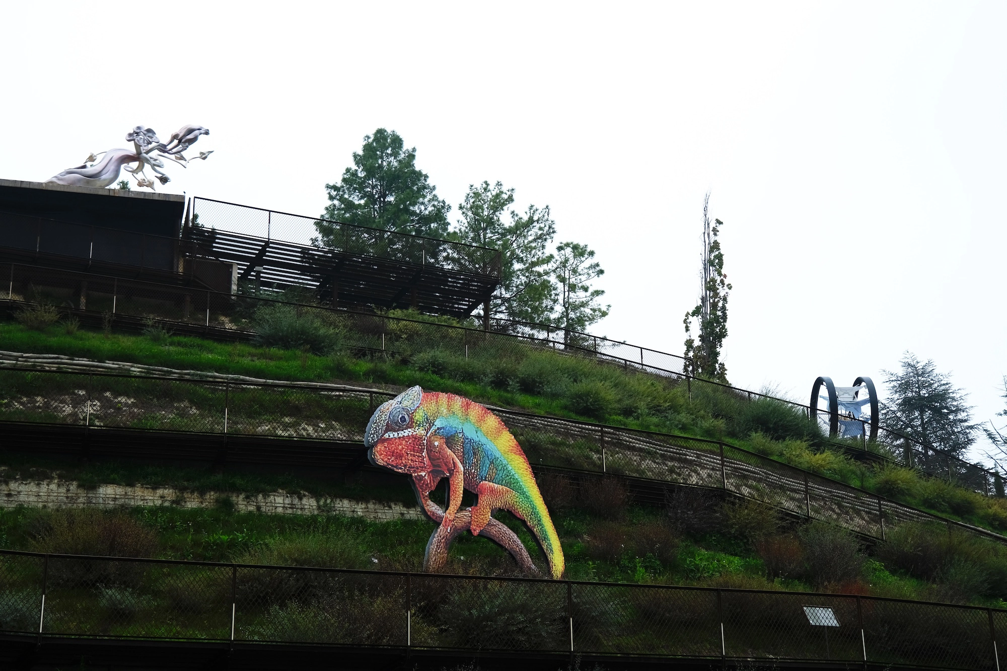 Approximation (Chamaleon Through the Looking-Glass)