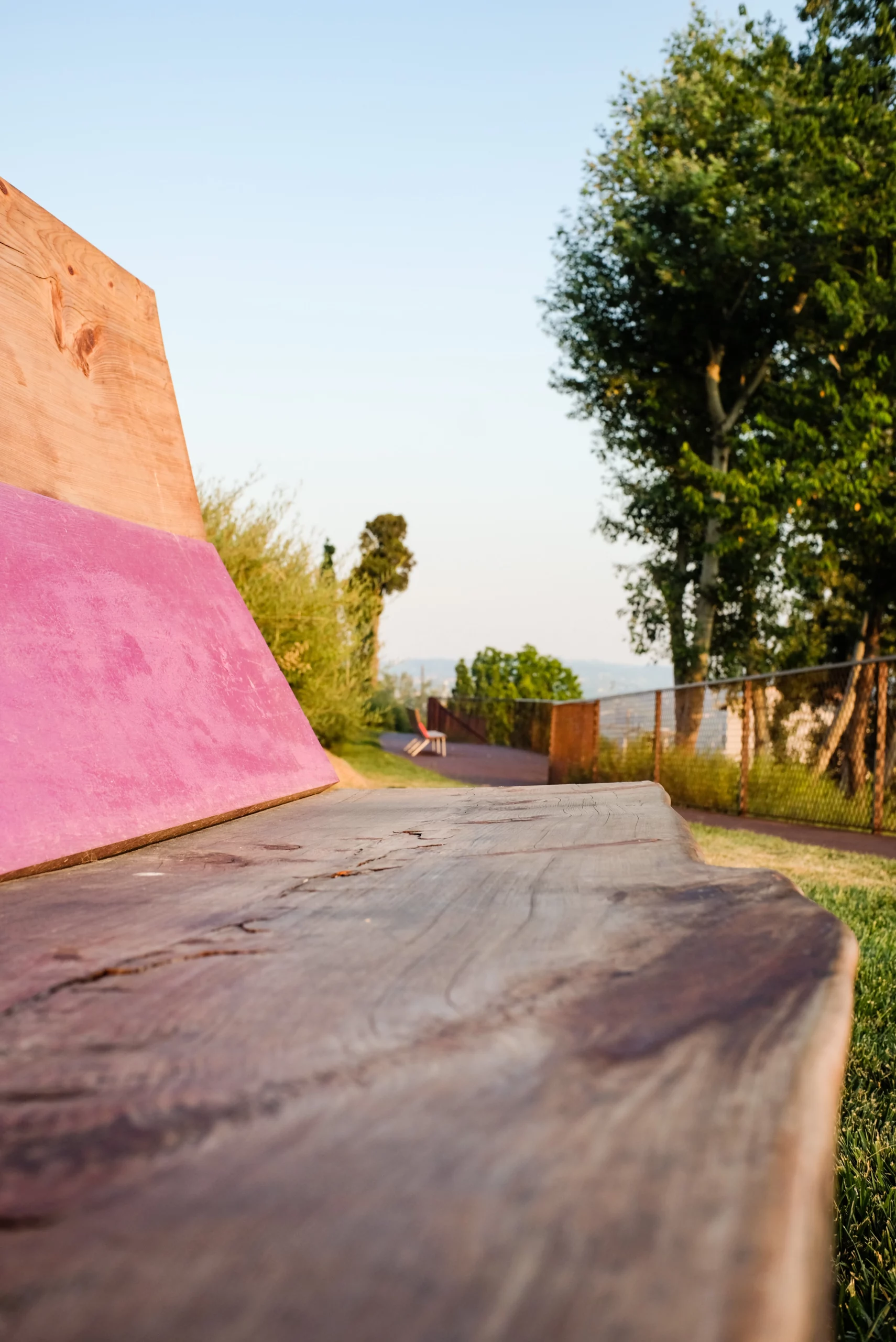 Cypress Violets, Cypress Reds