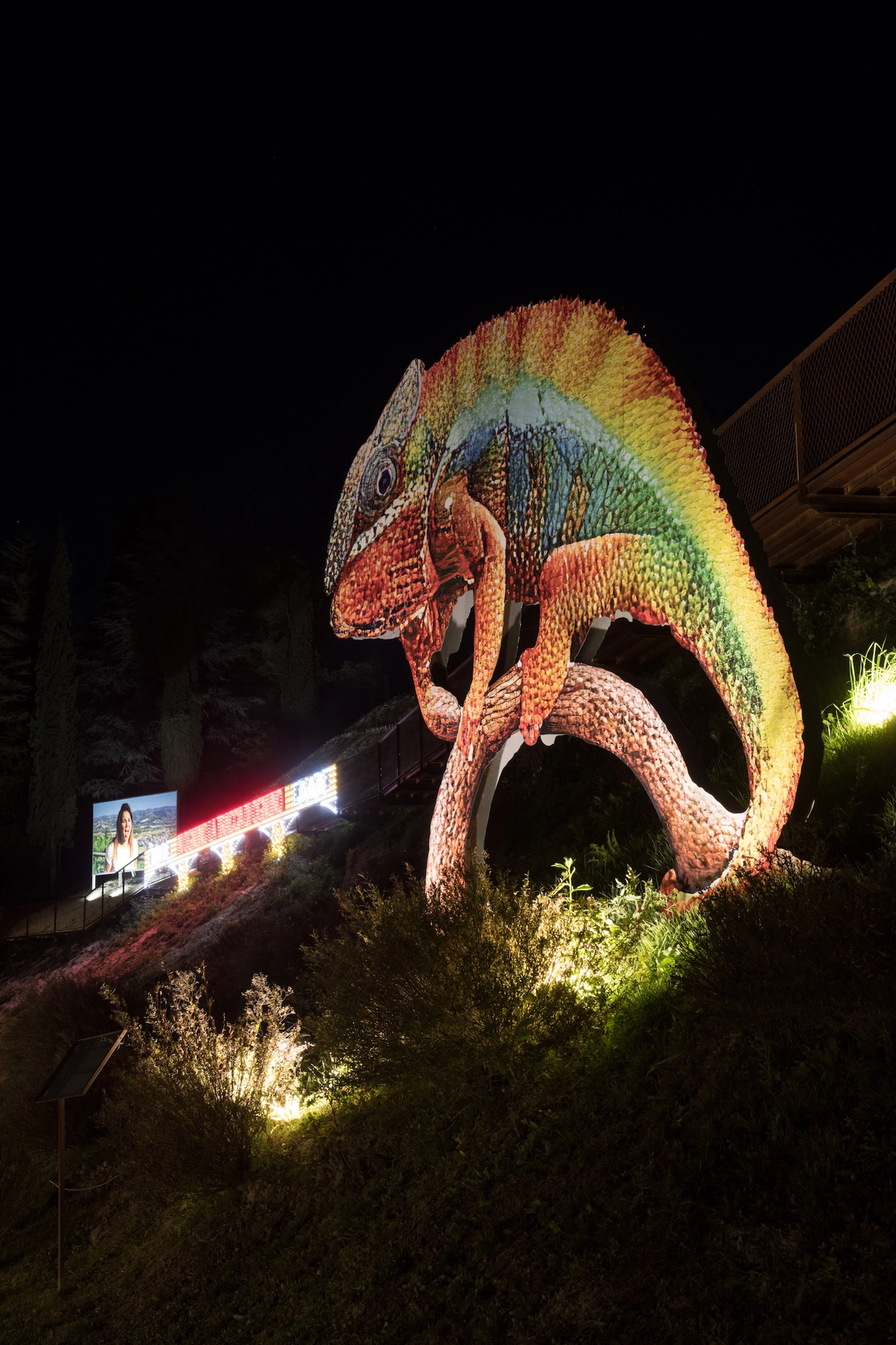 Approximation (Chamaleon Through the Looking-Glass)