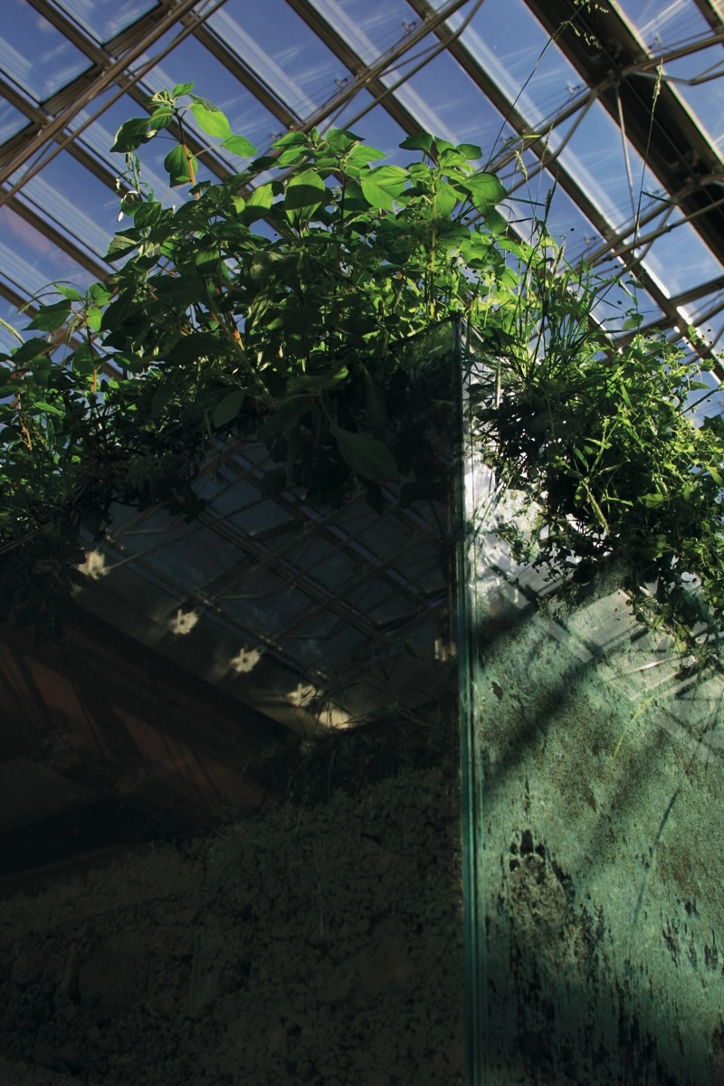 Von der Sehnsucht im Einklang mit der Natur zu leben /