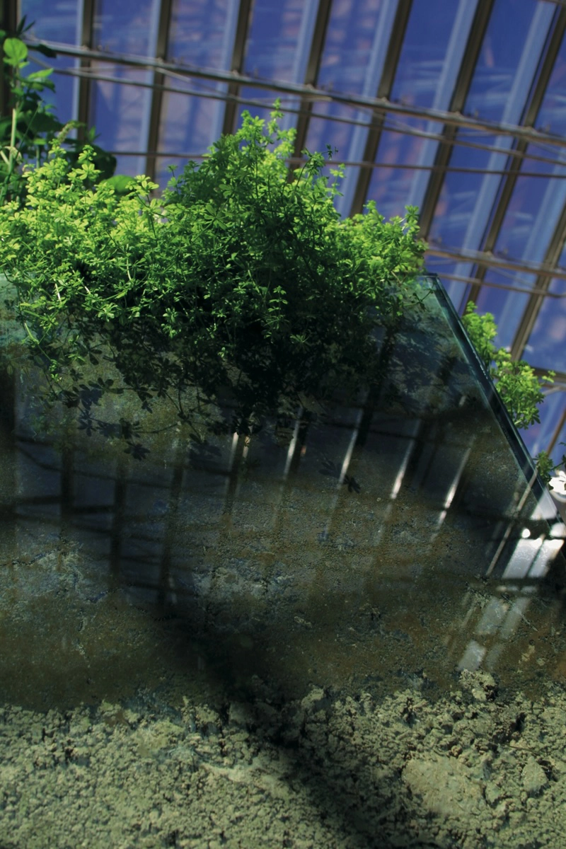 Von der Sehnsucht im Einklang mit der Natur zu leben /