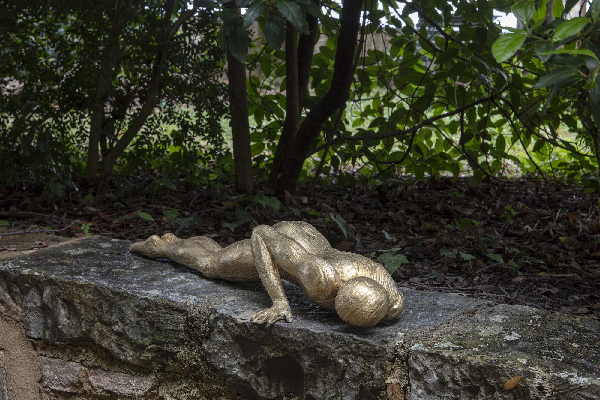 Sogno sottile (#1, #2, #3)