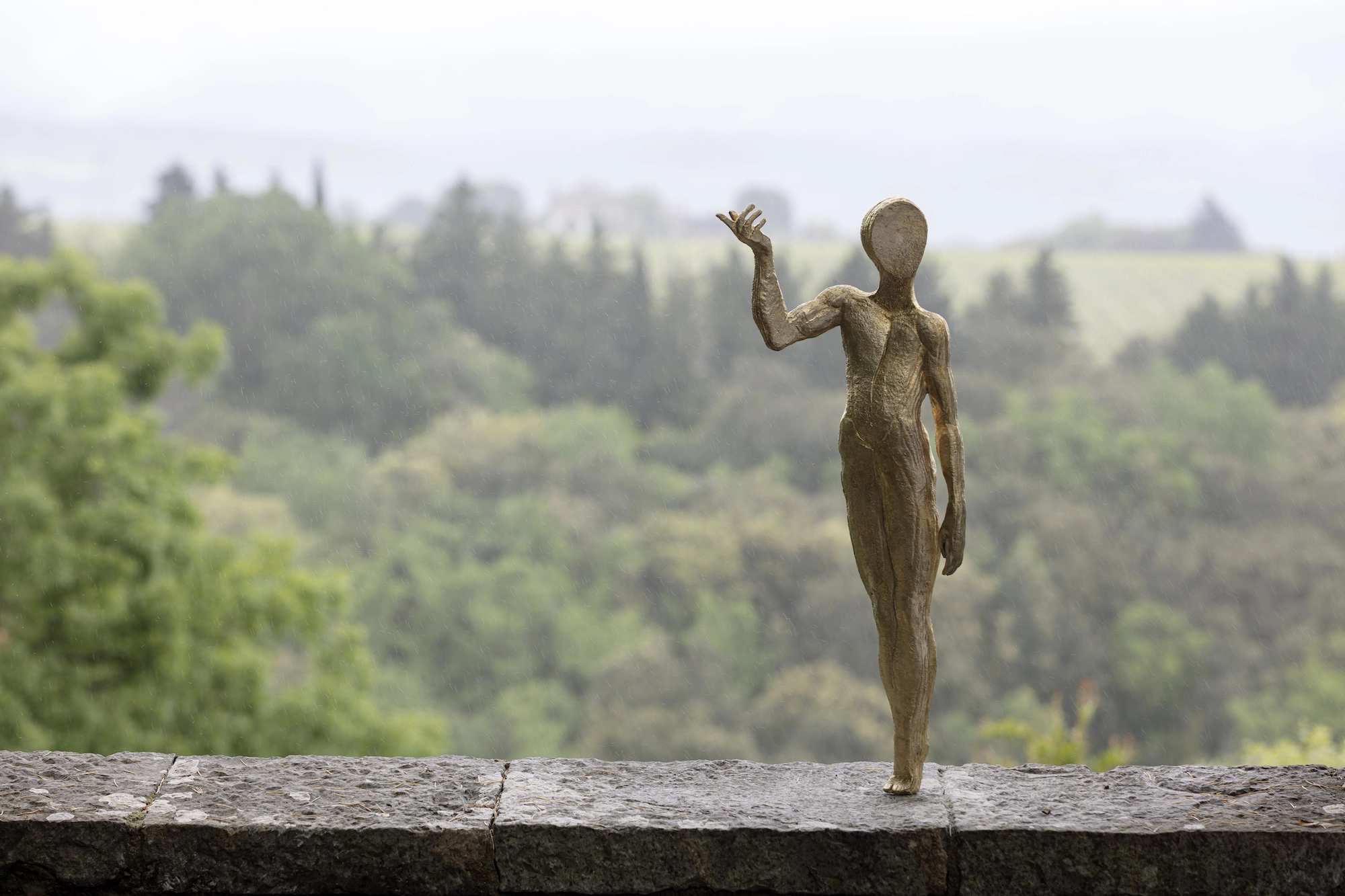 Sogno sottile (#1, #2, #3)