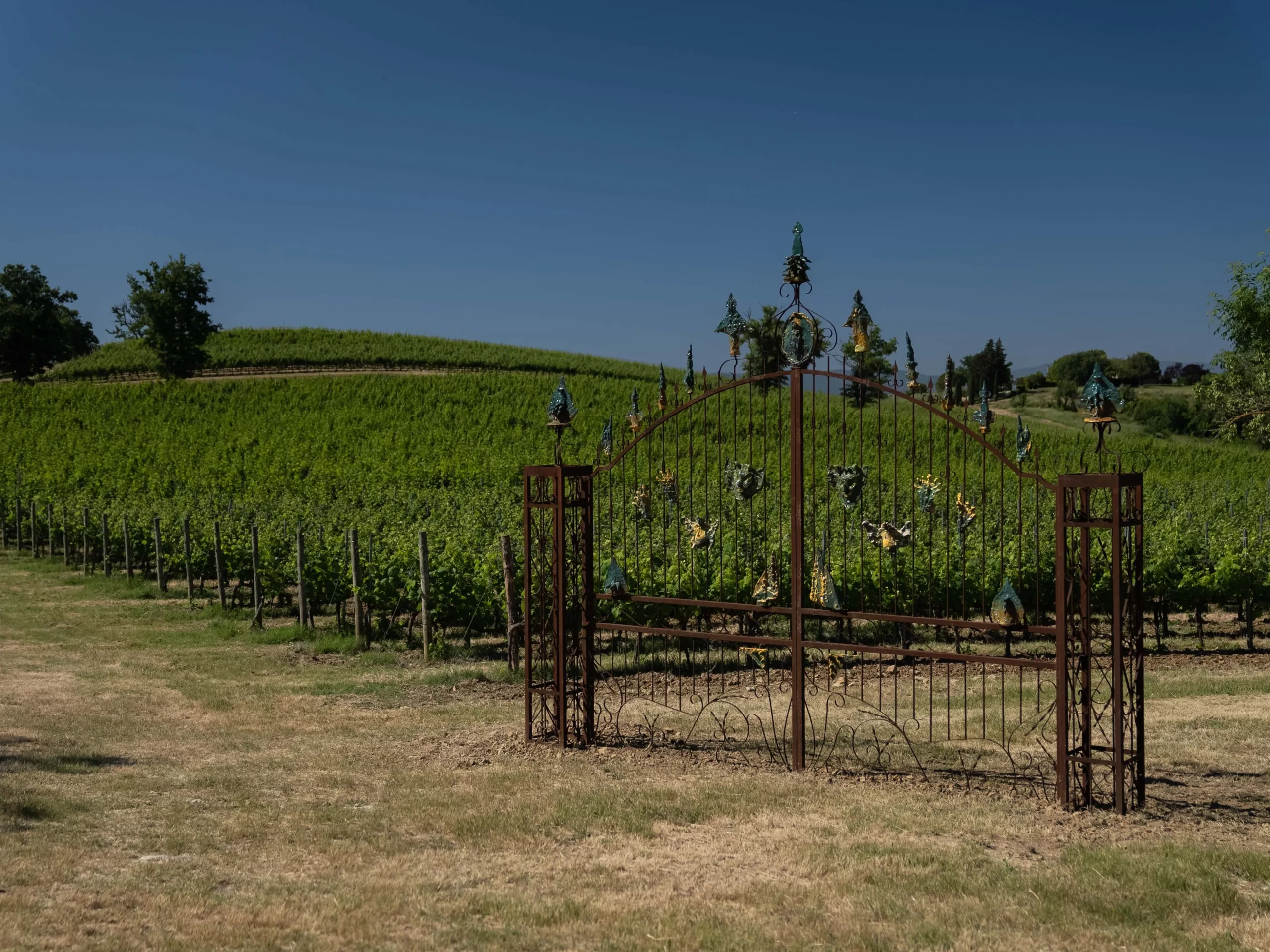 Terenzi (Hypermaremma)
