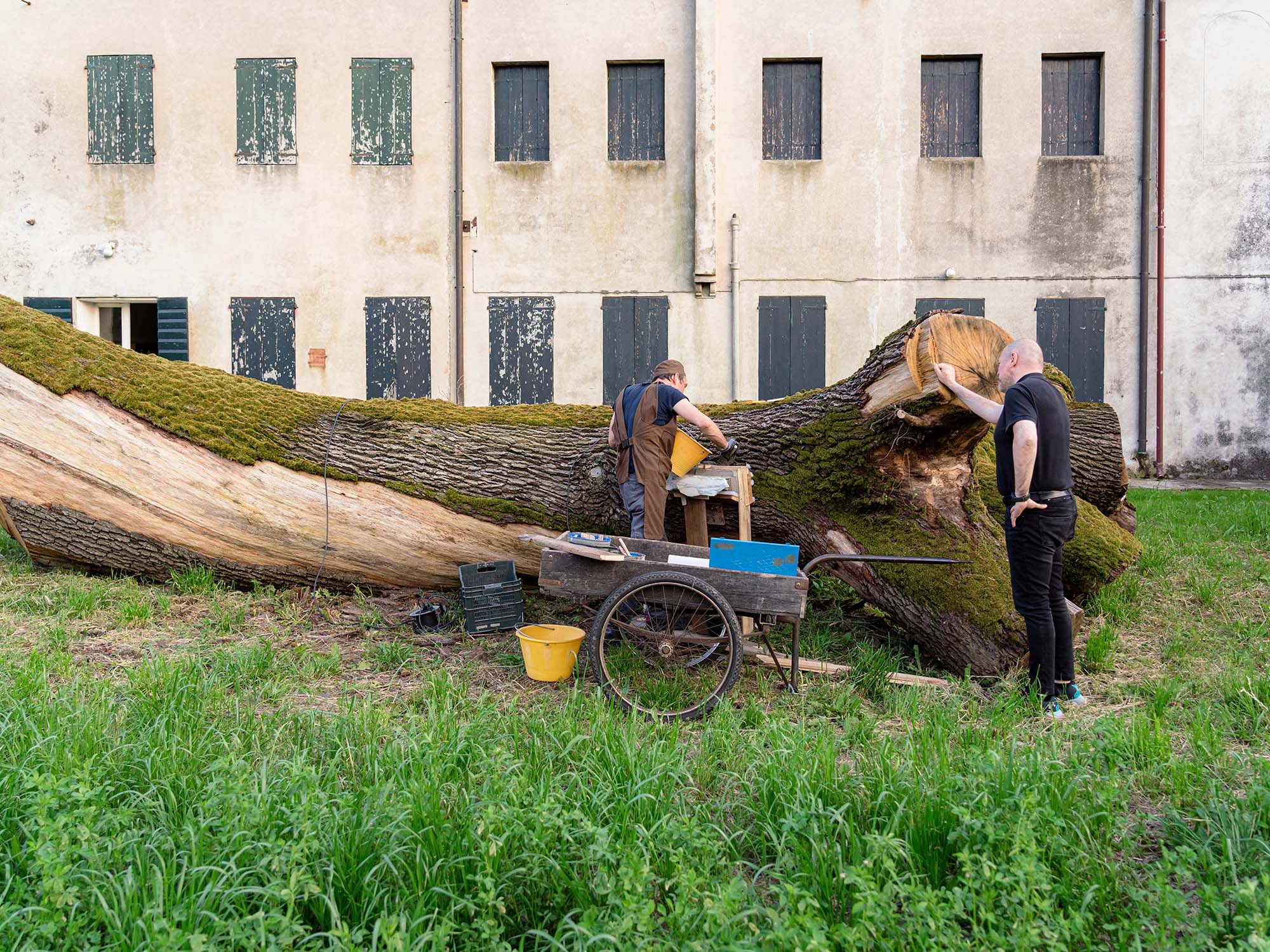 Paolo Pretolani, Fabrizio Prevedello, Eleonora Rinaldi e Giorgia Severi, Officina Malanotte, 2024.