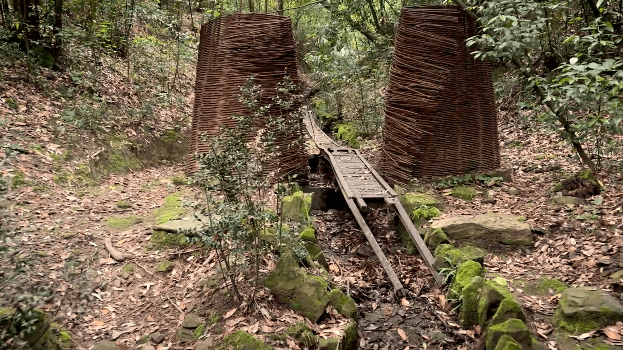 Il sentiero dell’amore