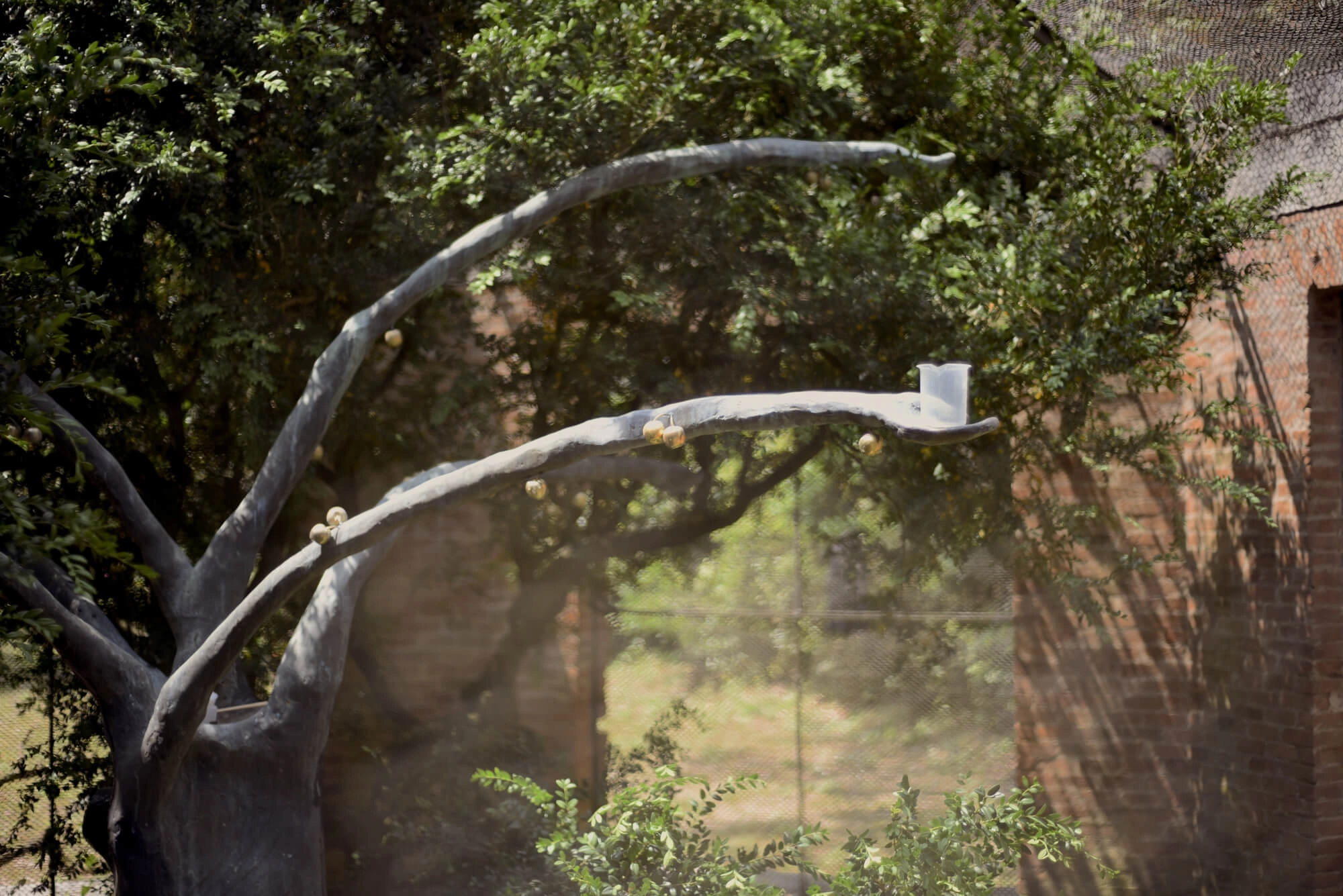 L’albero dai frutti d’oro