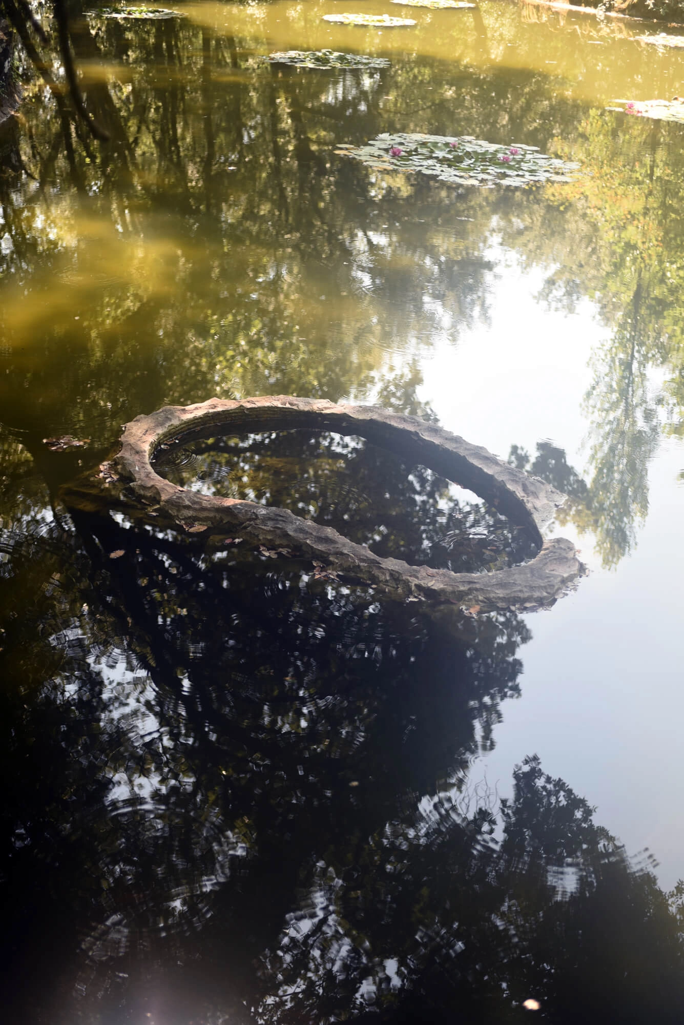 L’isola dell’identità