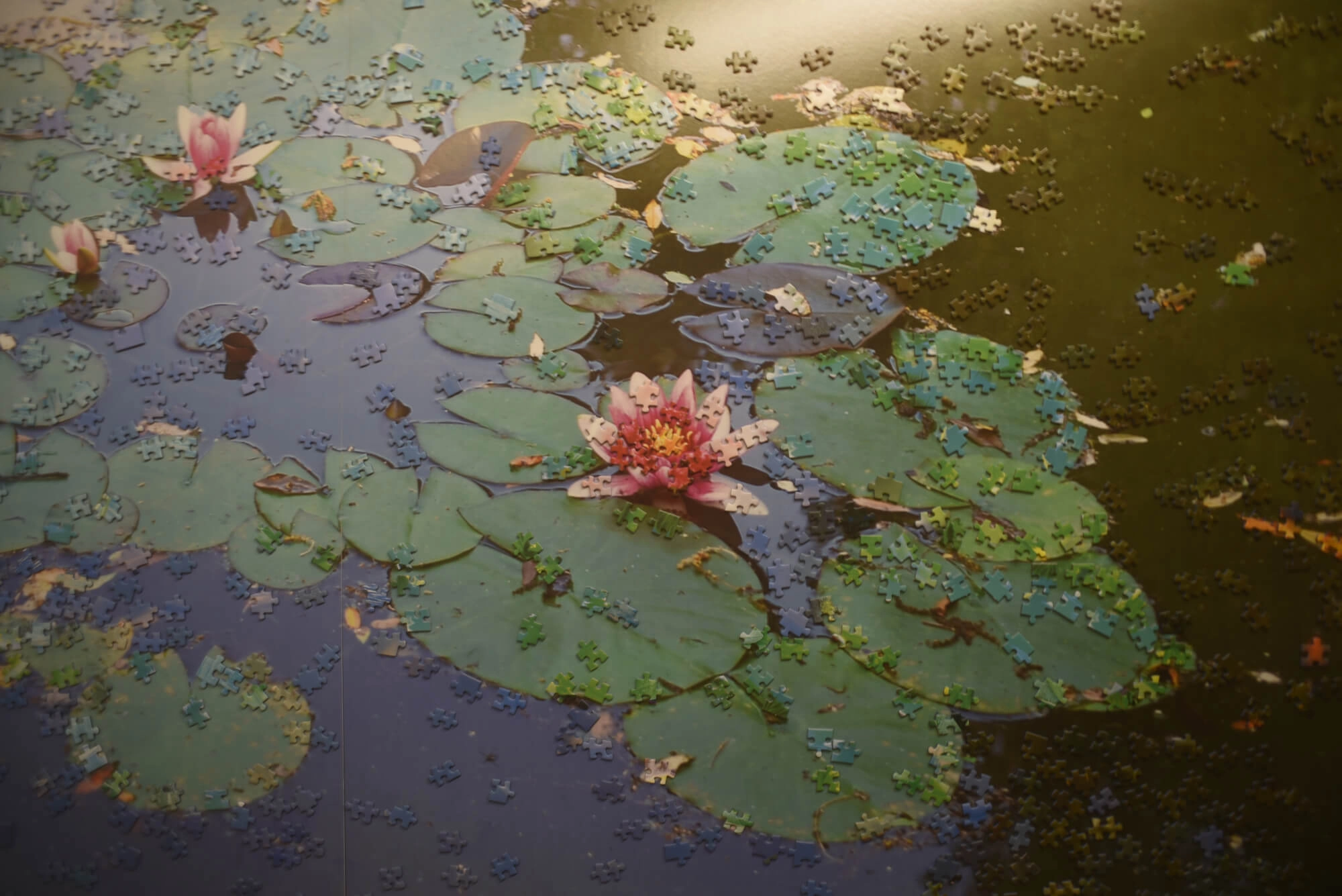 Residenza di Stefano Arienti a Cascina Terrarossa
