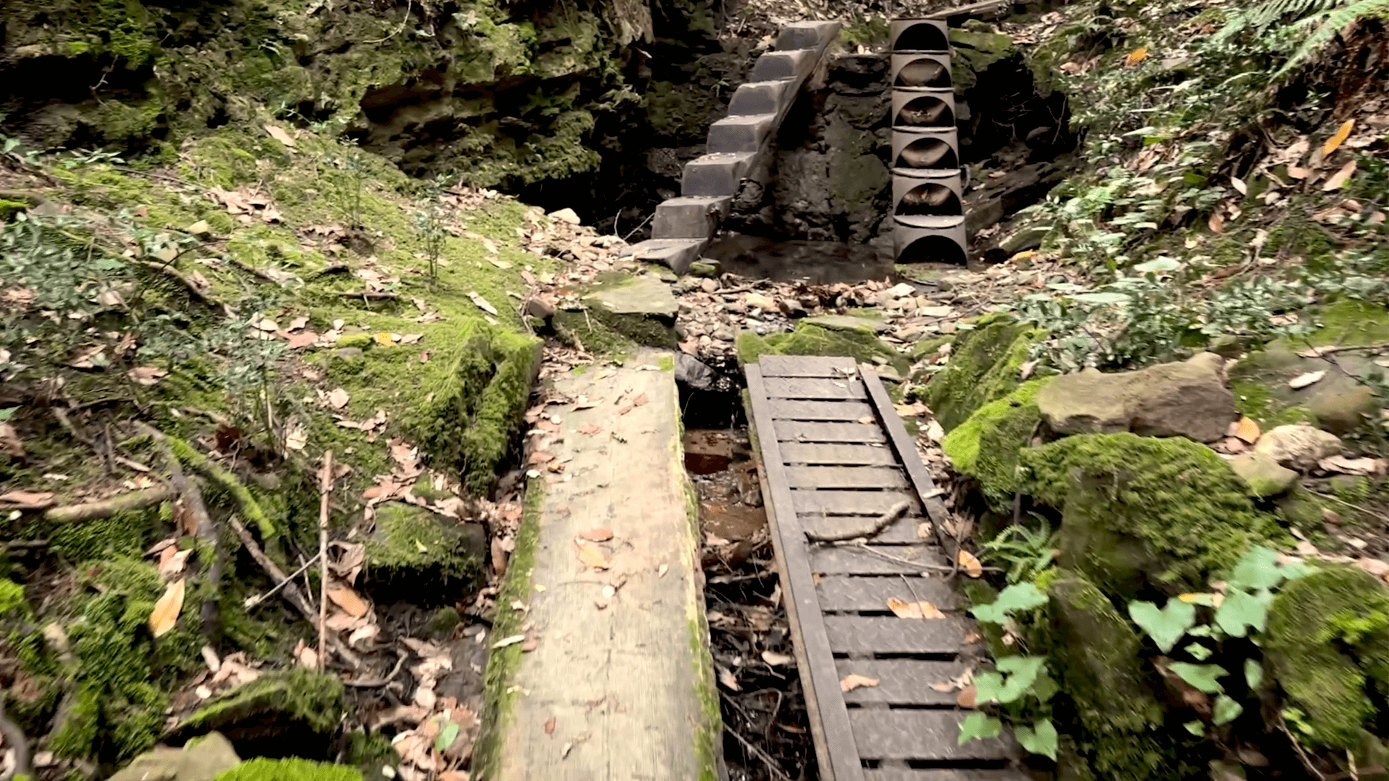 Il sentiero dell’amore