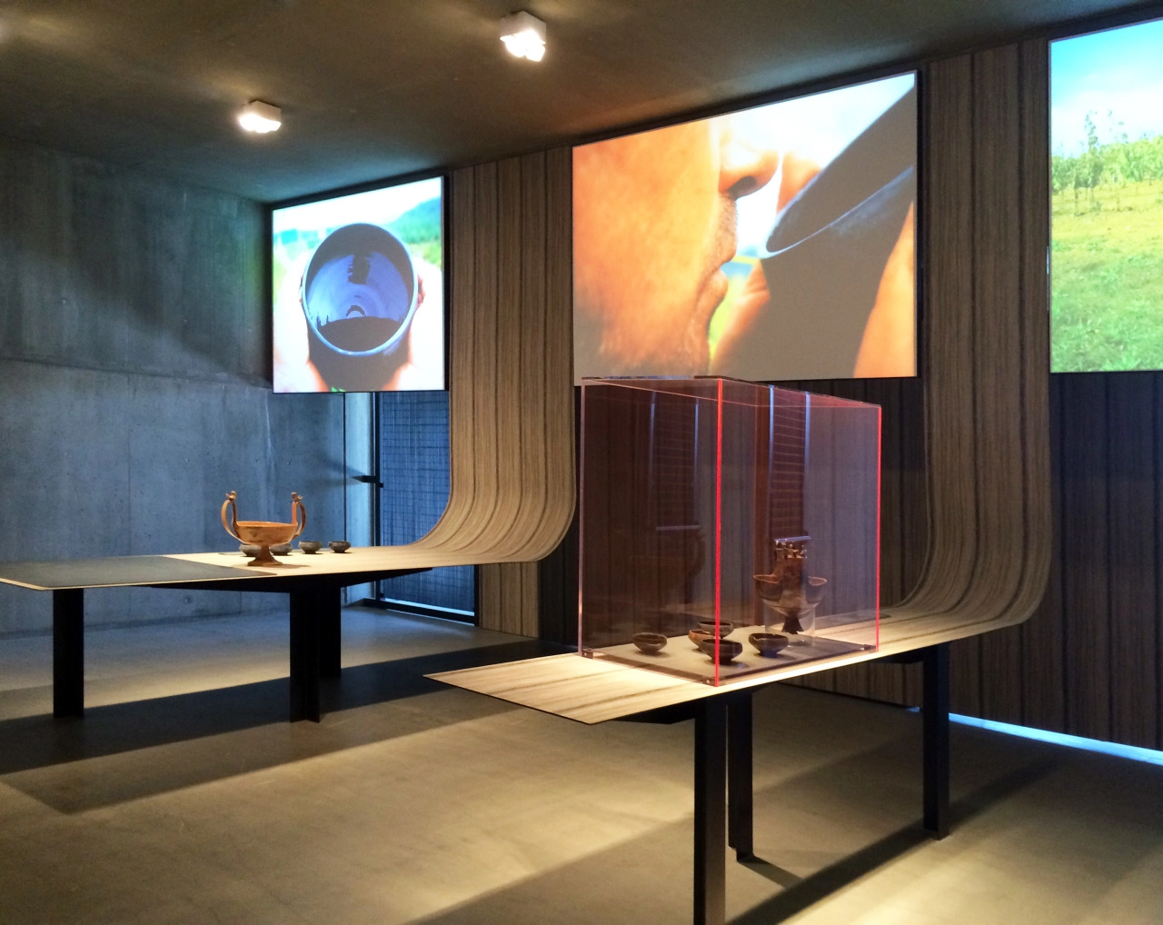 Gli Etruschi a Rocca di Frassinello