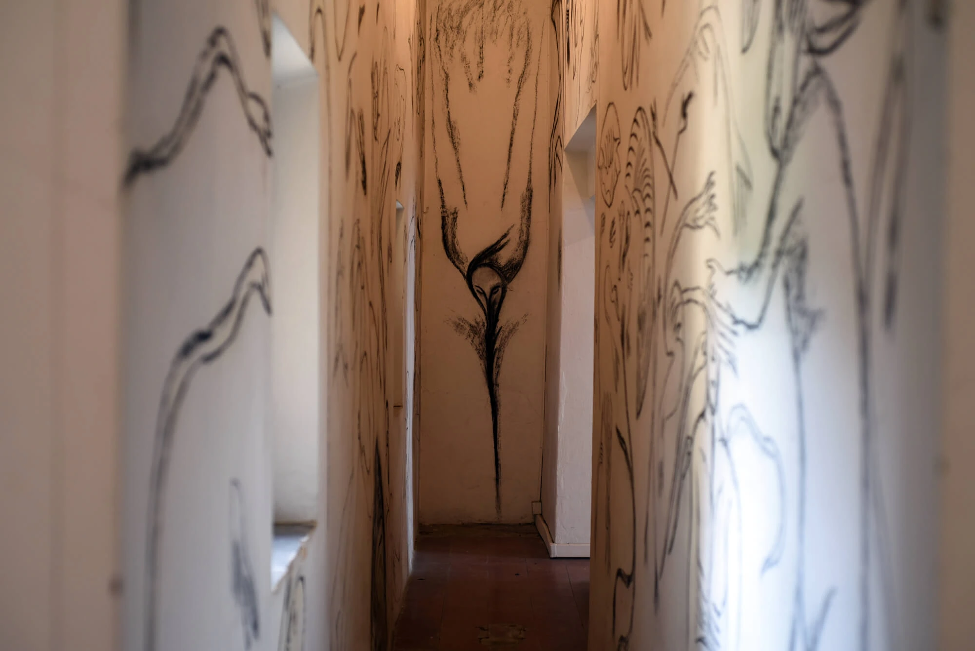 VINCItore. Tutta la musica del bosco. Qui davanti. Passaggio dei segreti.