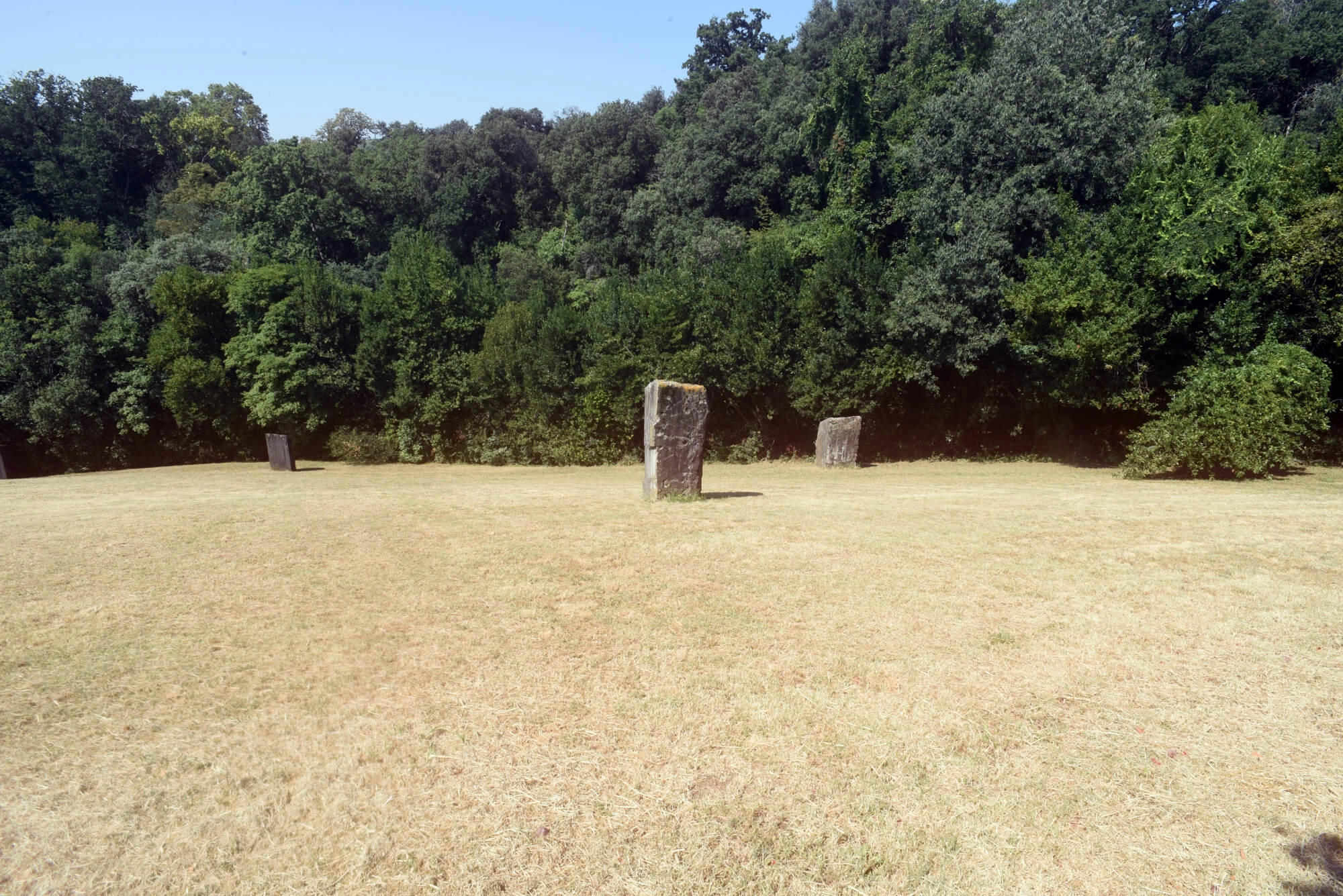 Colombino di Firenzuola