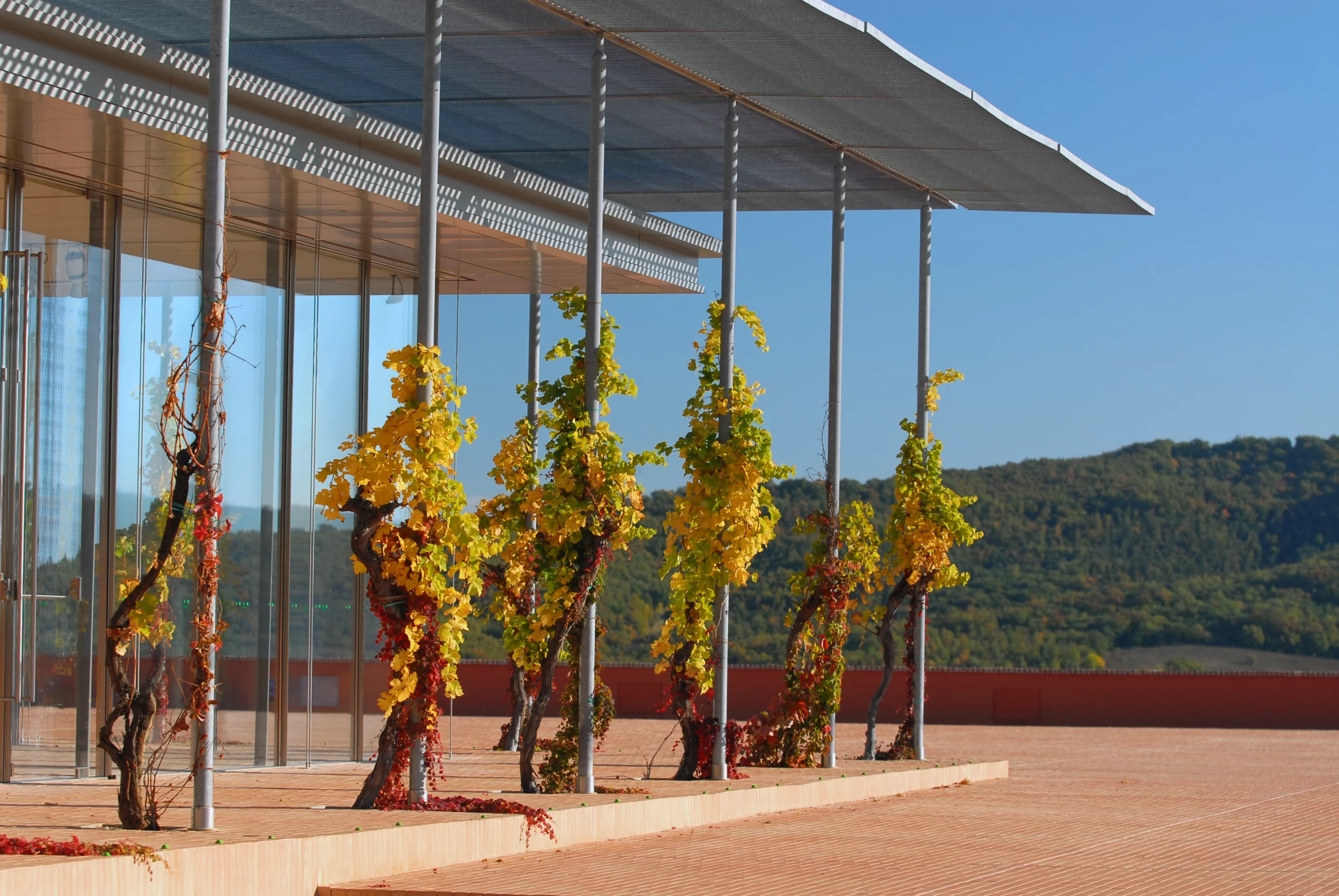 Rocca di Frassinello