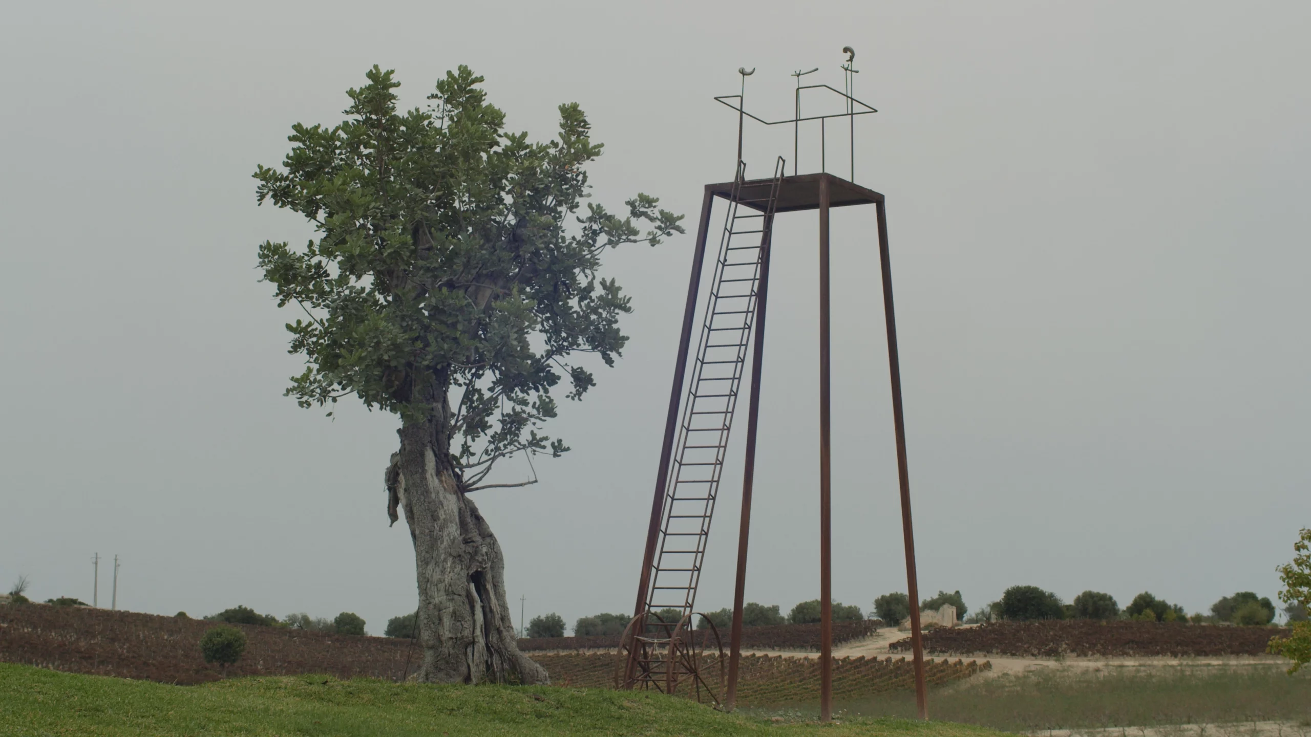 Primo punto dell’Ariete