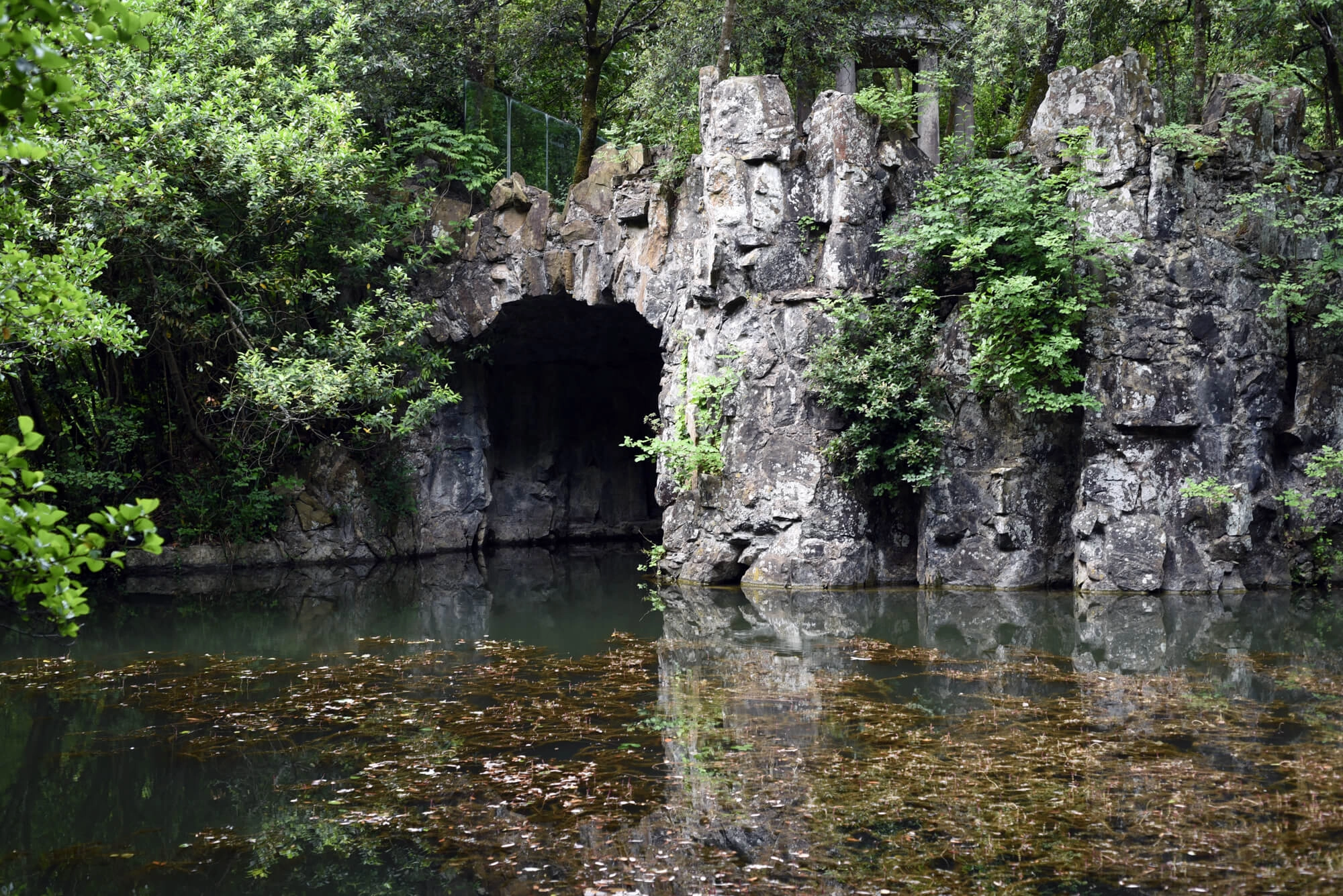 Modus operandi celle