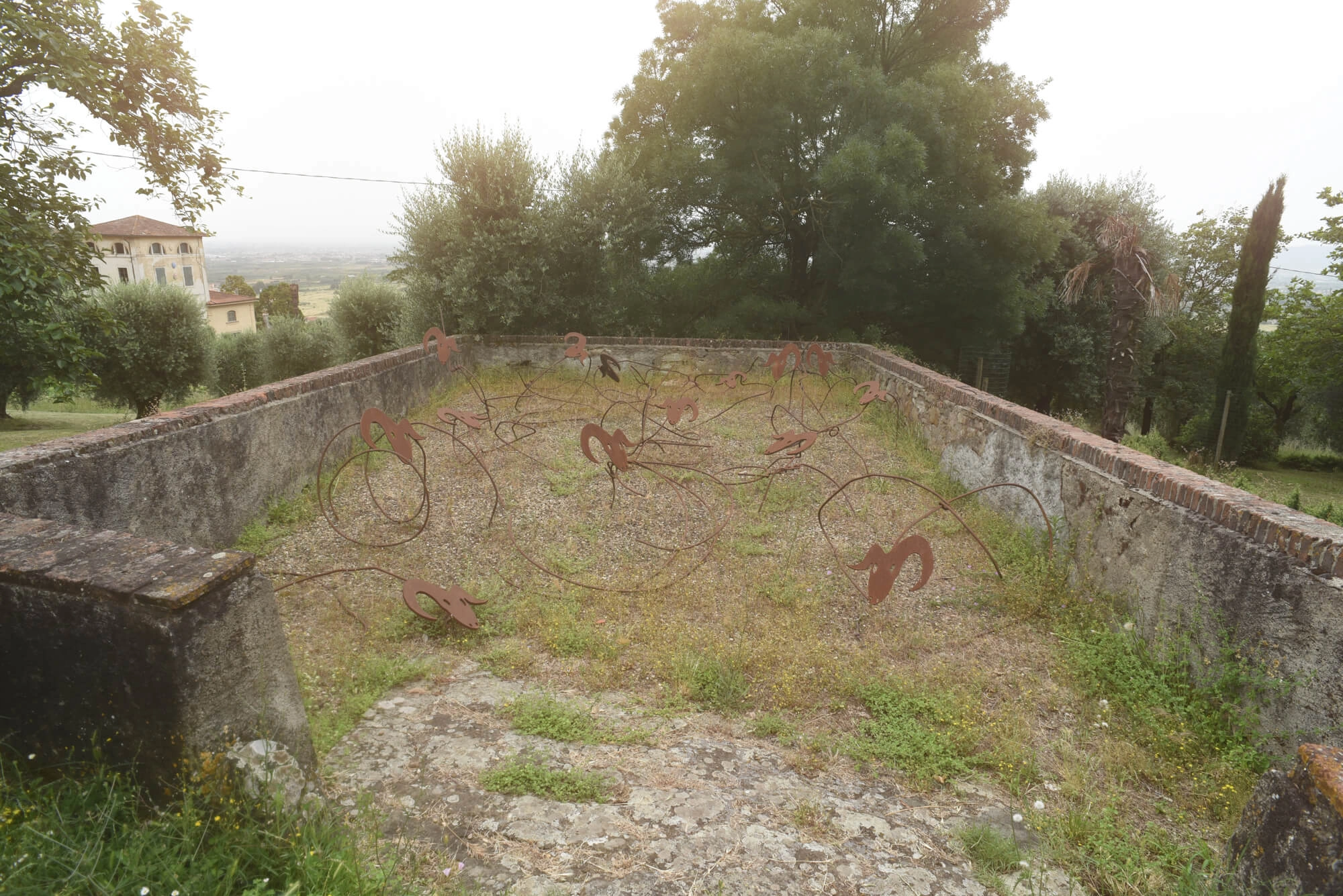 Luce del mattino (pecore+pecore)