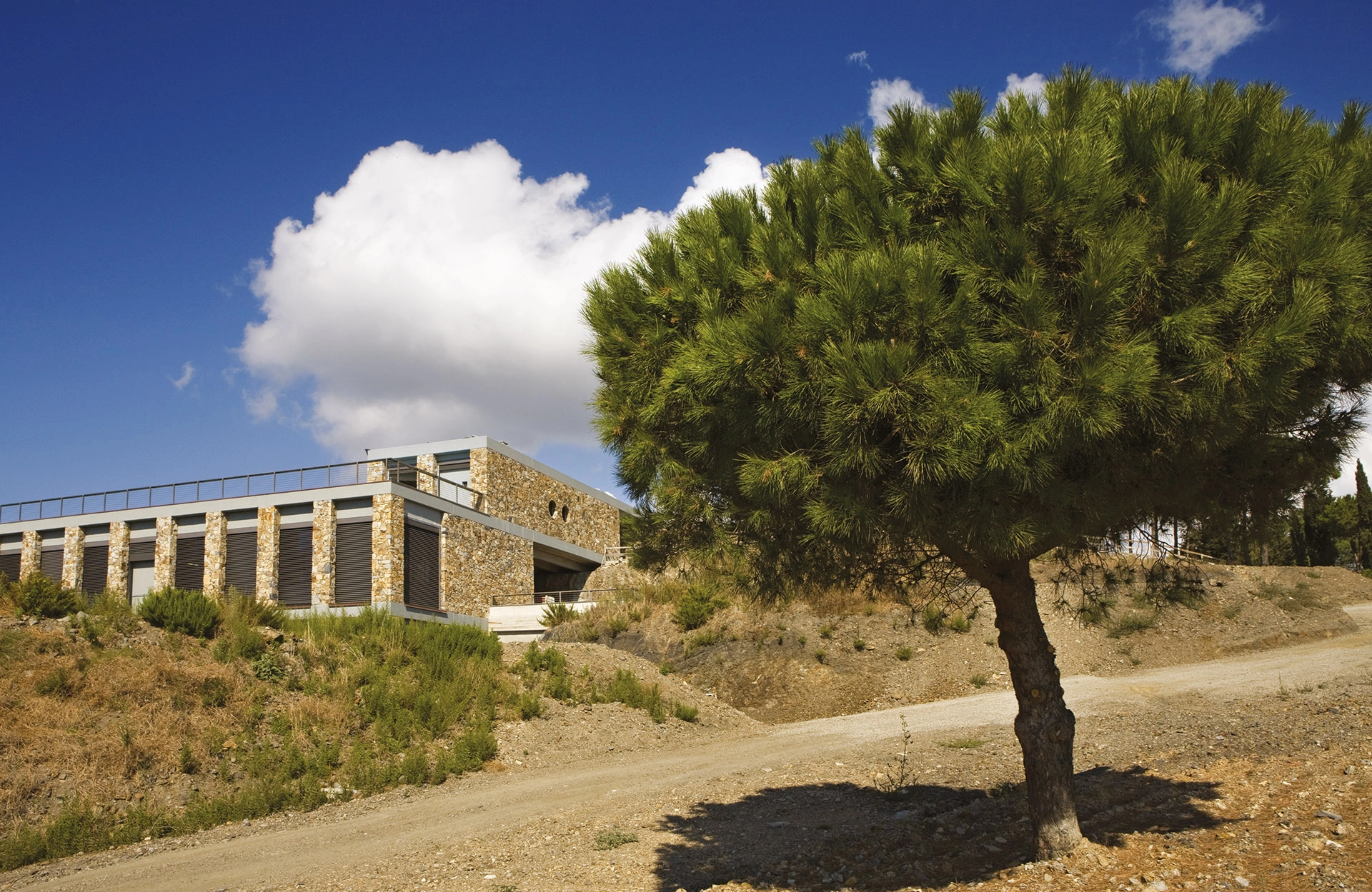 Tenuta delle Ripalte