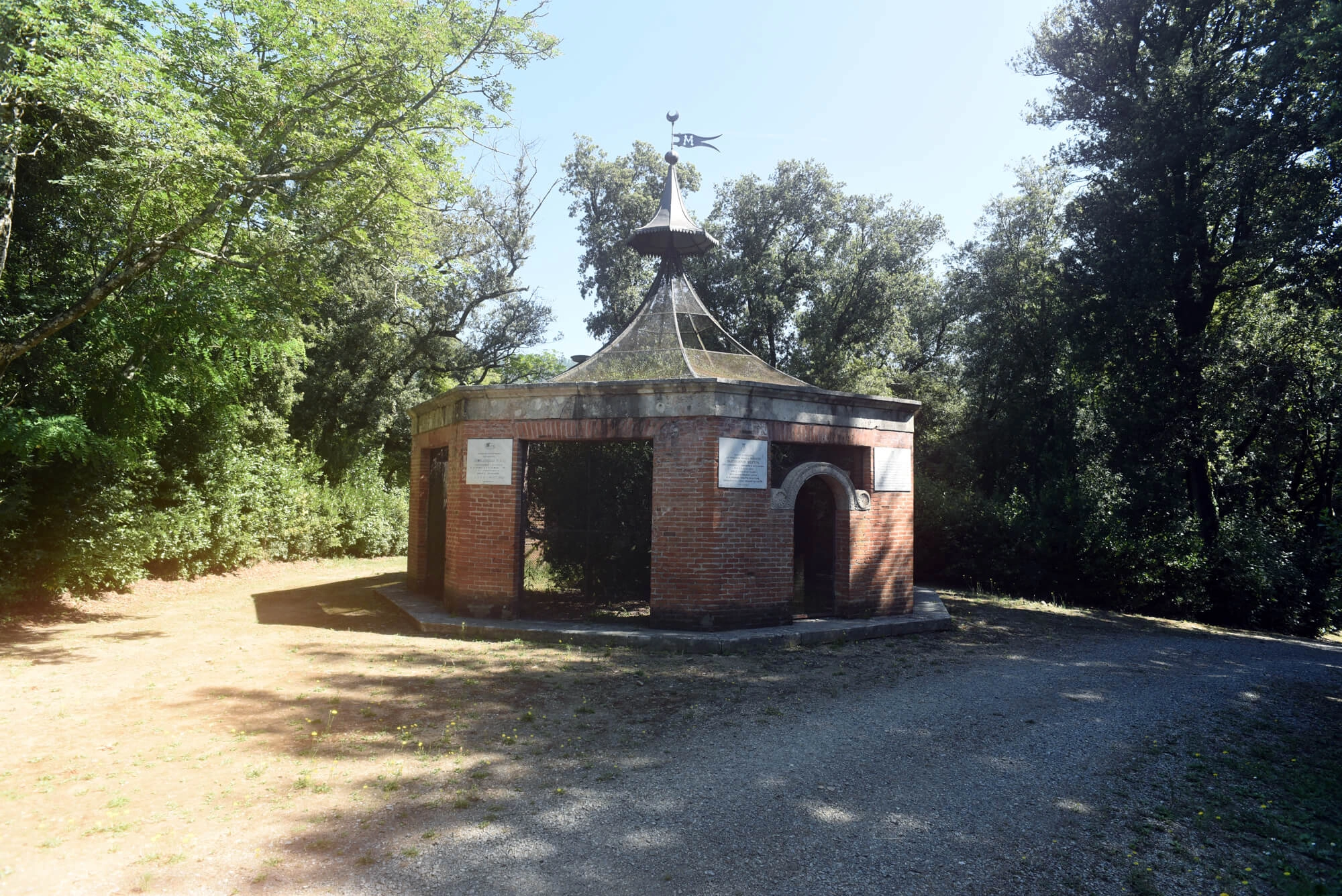 L’albero dai frutti d’oro