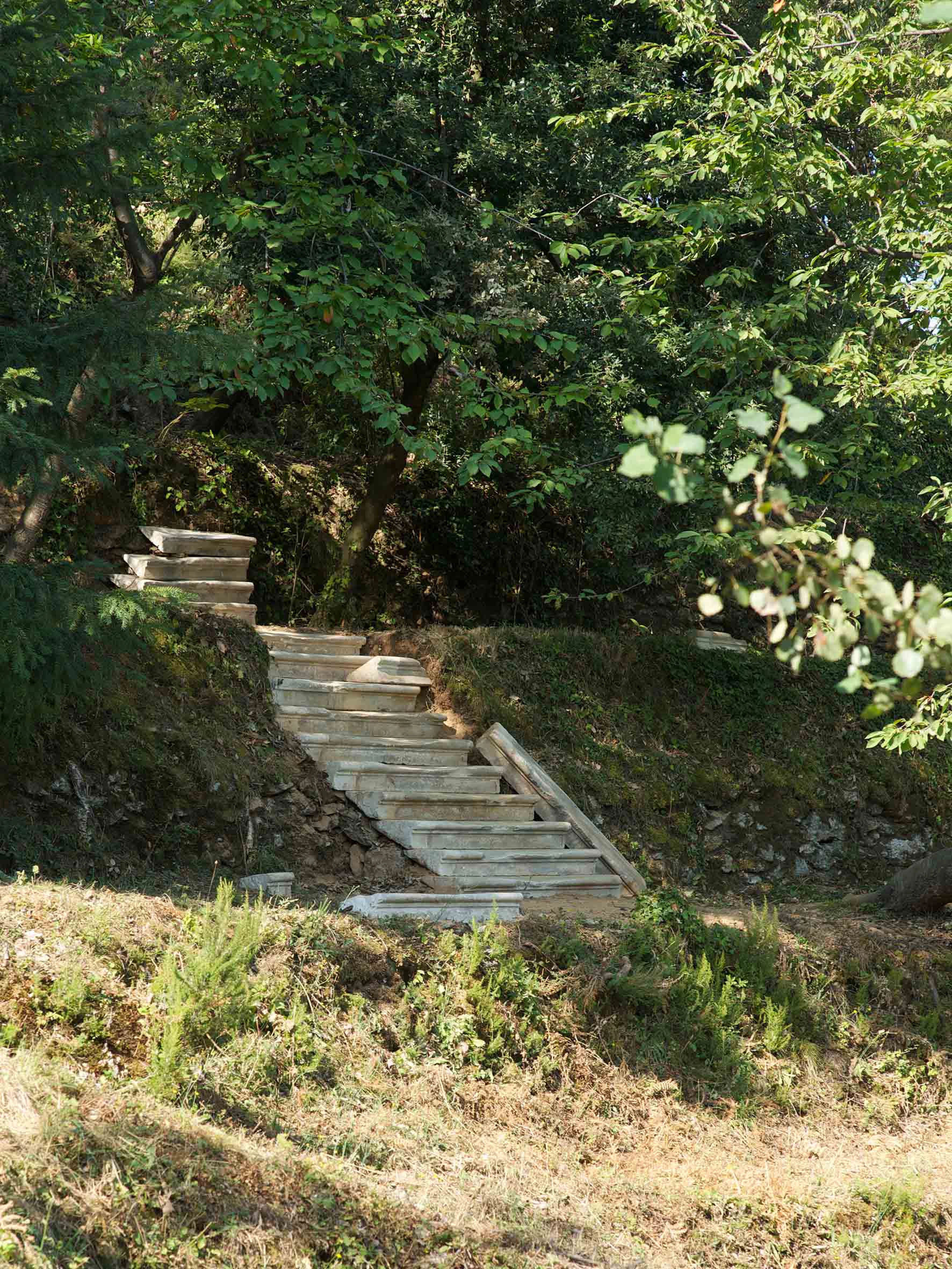 There is not a Priori Answer to this Dilemma  (The Dolphin Hotel)