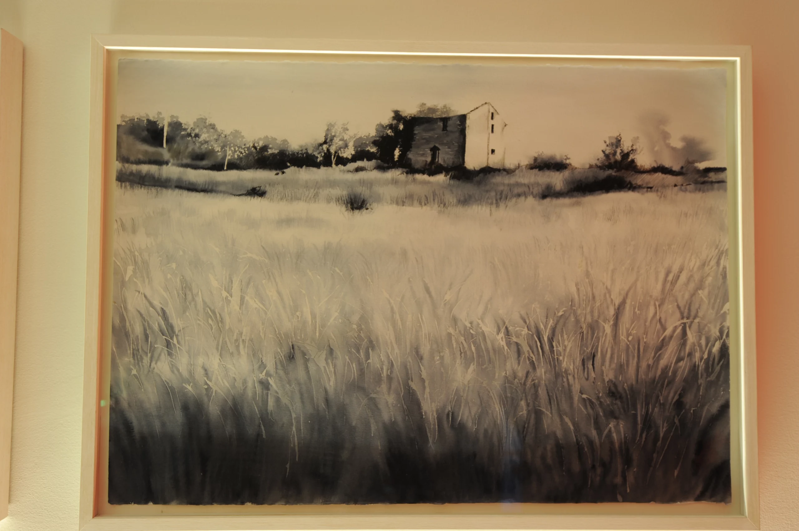 Collezione di Acquerelli