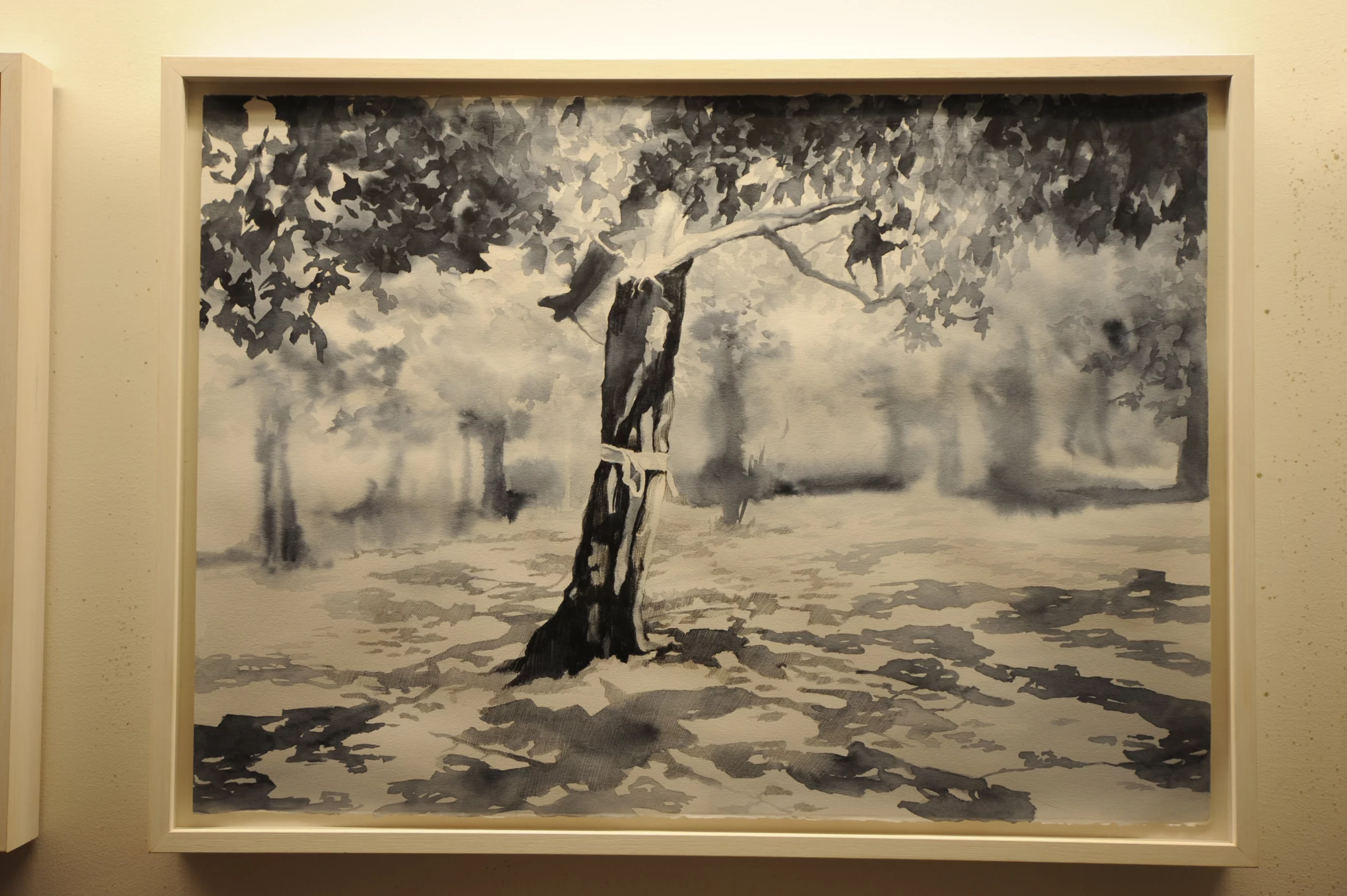 Collezione di Acquerelli