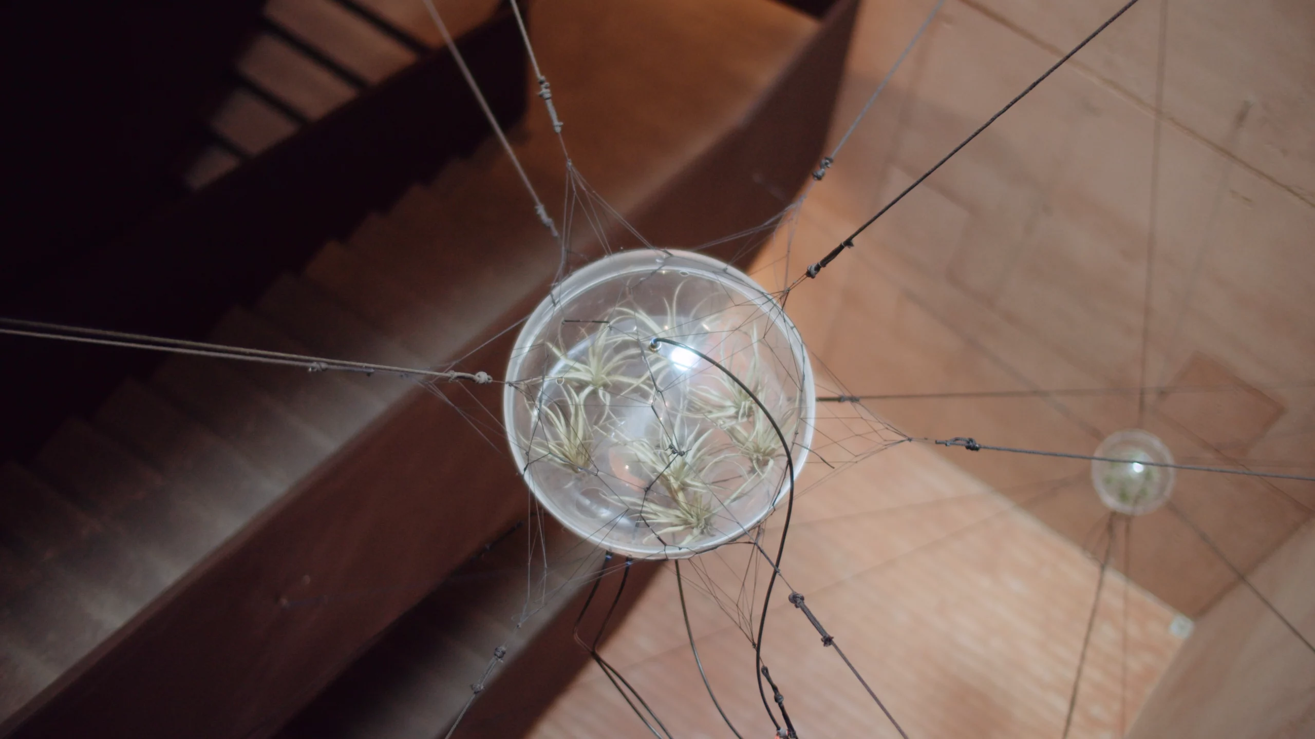 Il passato e il futuro