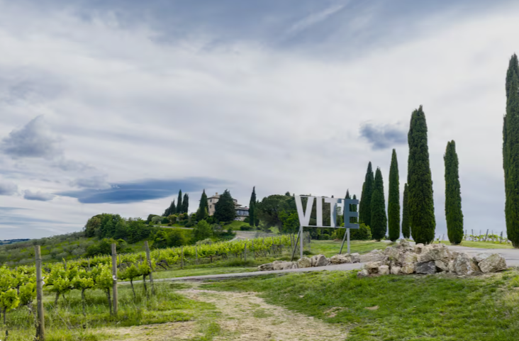 Parco Sculture Todini / Tenuta Todini